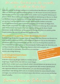 Flyer Bienenw&auml;lder 2